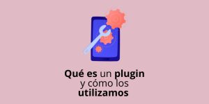 Qué es un plugin y cómo los utilizamos